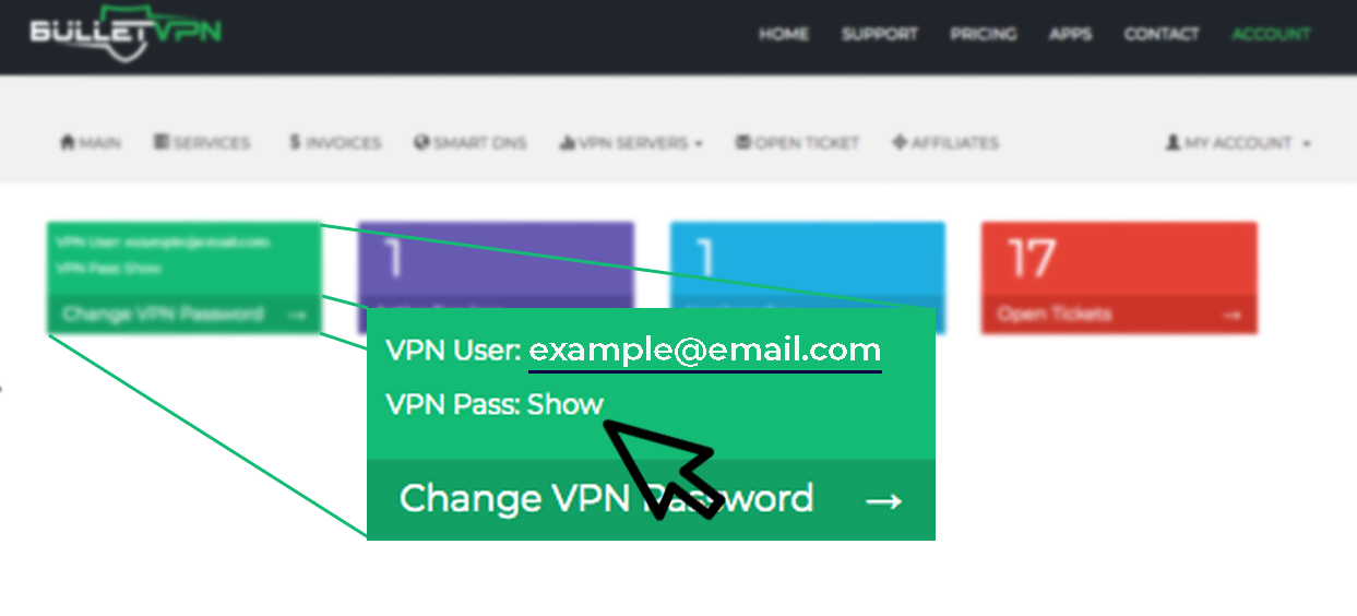 pptp vpn ipvanish setup aus router